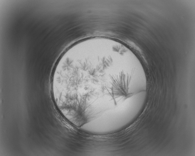 X0000071961280200608041609