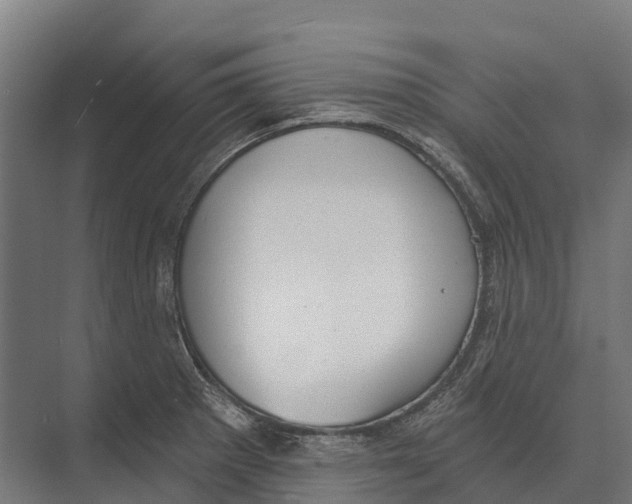 X0000071961281200608041609