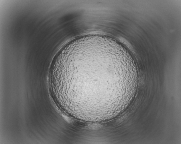 X0000071961282200608041609