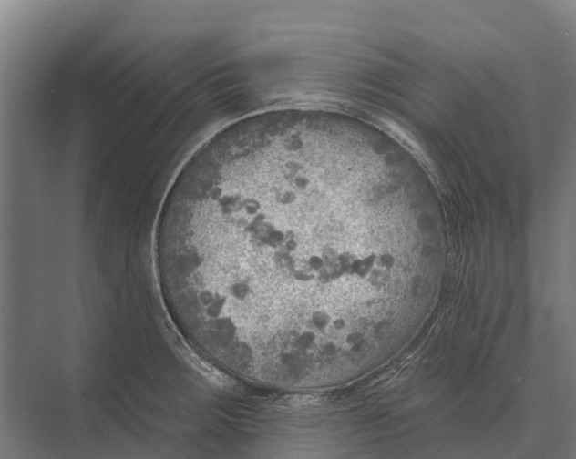 X0000071961283200608041609