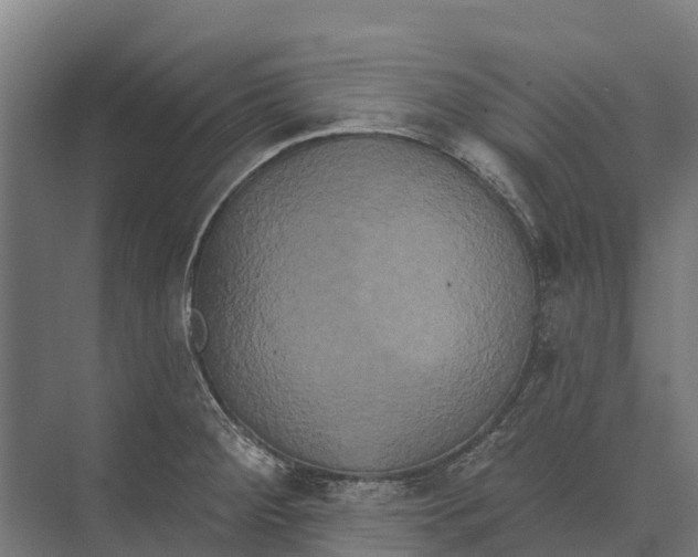 X0000071961284200608041609