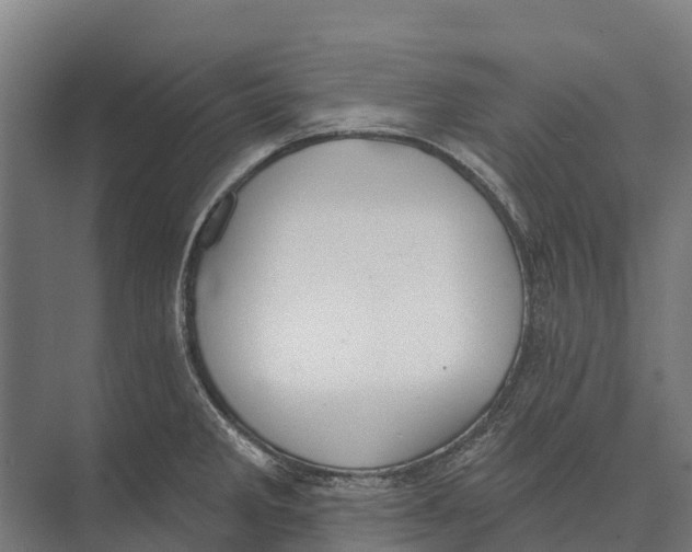 X0000071961285200608041609