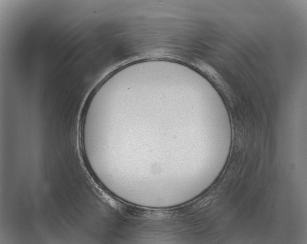 X0000071961286200608041609