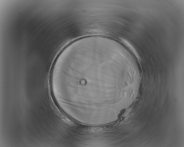 X0000071961291200608041609