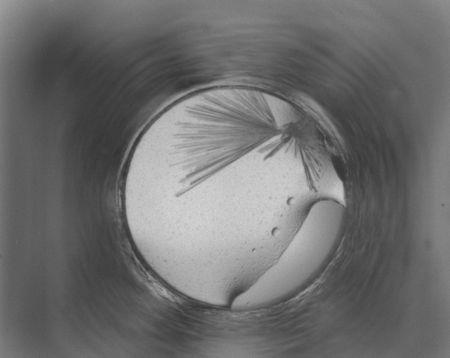 X0000071961292200608041609