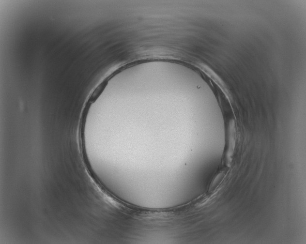 X0000071961293200608041609