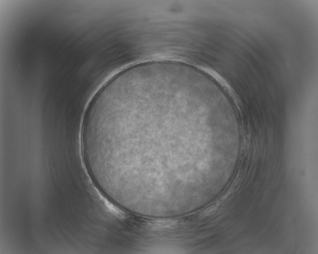 X0000071961294200608041609