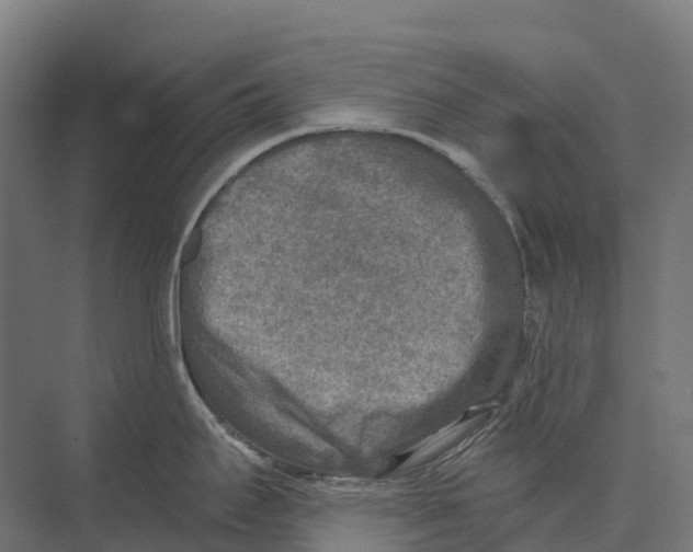 X0000071961295200608041609