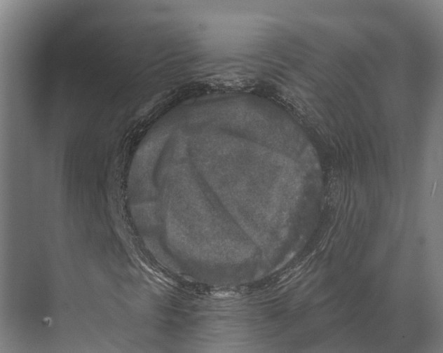 X0000071961297200608041608