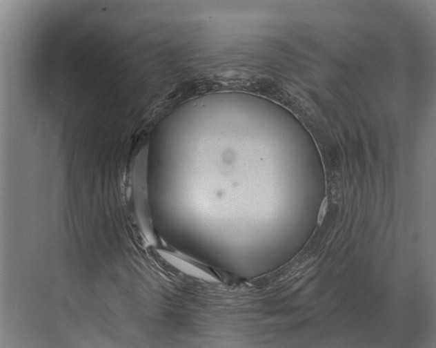 X0000071961298200608041608