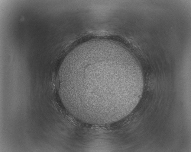 X0000071961301200608041608