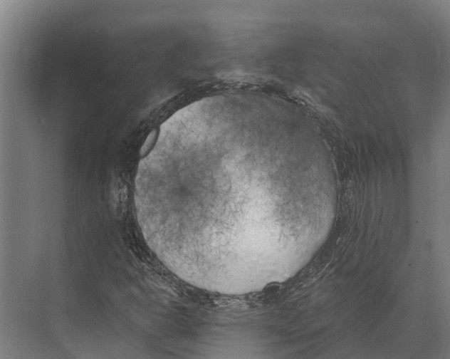 X0000071961302200608041608