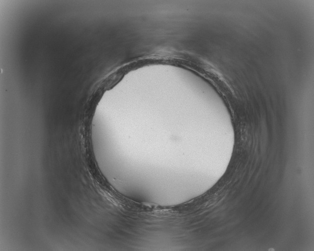 X0000071961304200608041609