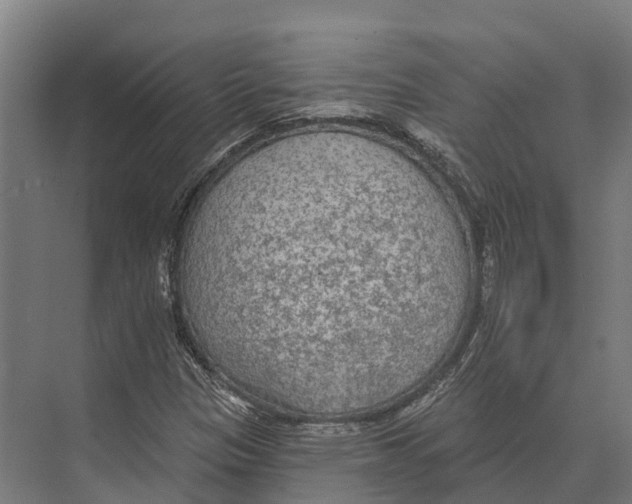 X0000071961305200608041609