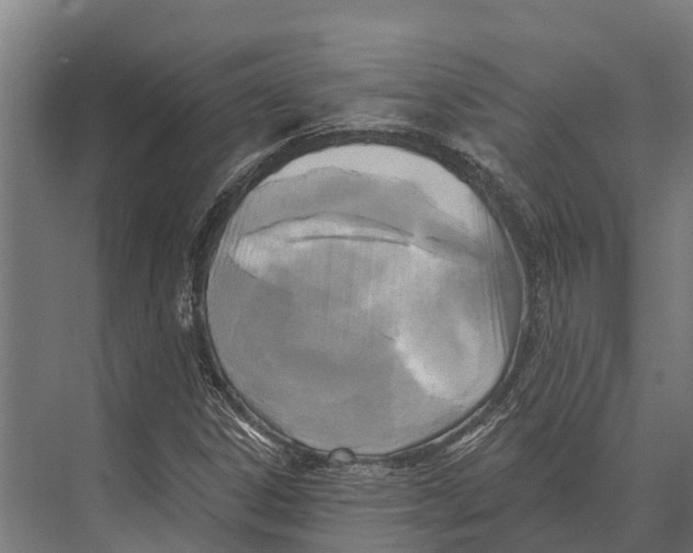 X0000071961306200608041609