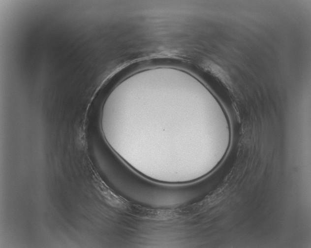 X0000071961308200608041609