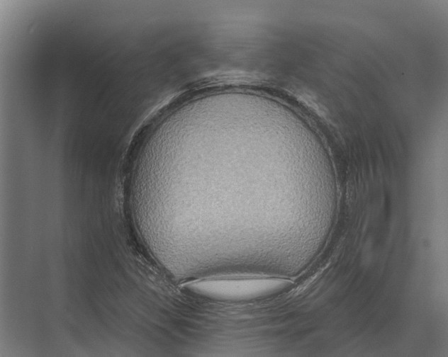 X0000071961309200608041609