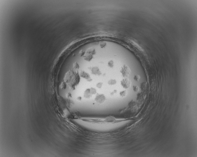 X0000071961310200608041609