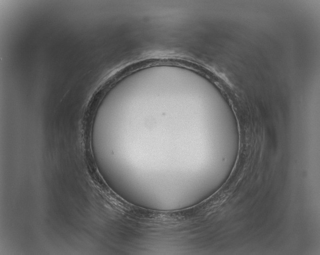 X0000071961311200608041609