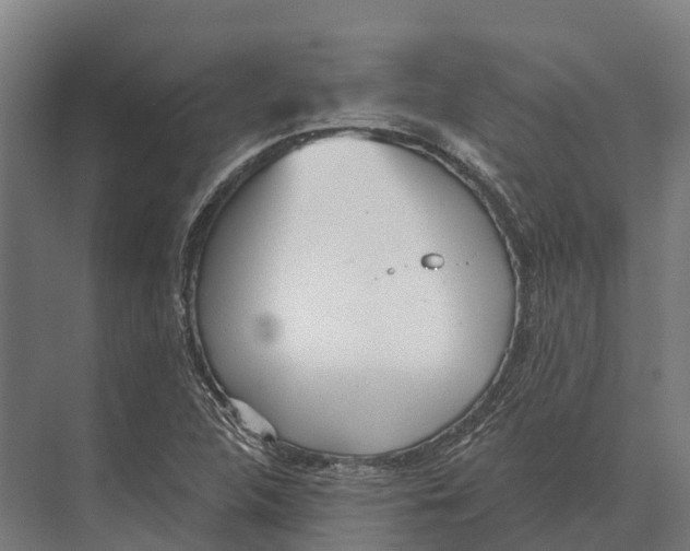 X0000071961312200608041609