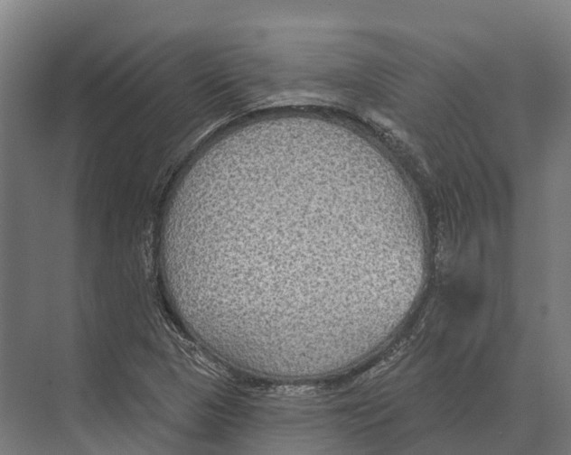 X0000071961313200608041609