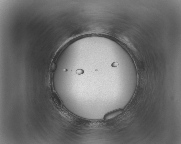 X0000071961316200608041609