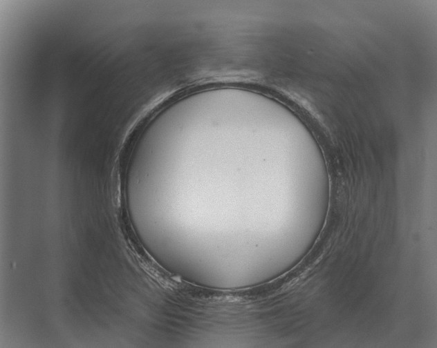 X0000071961317200608041609