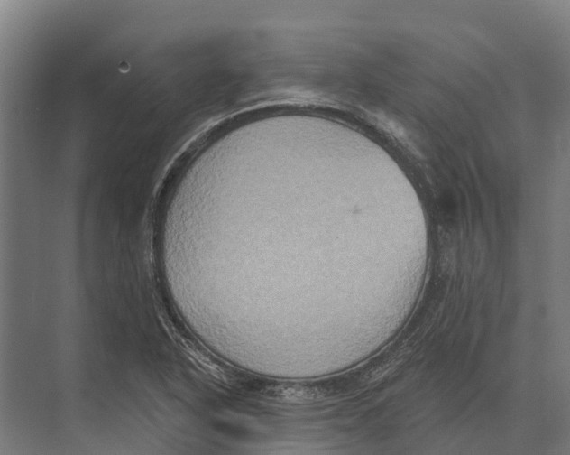 X0000071961318200608041609