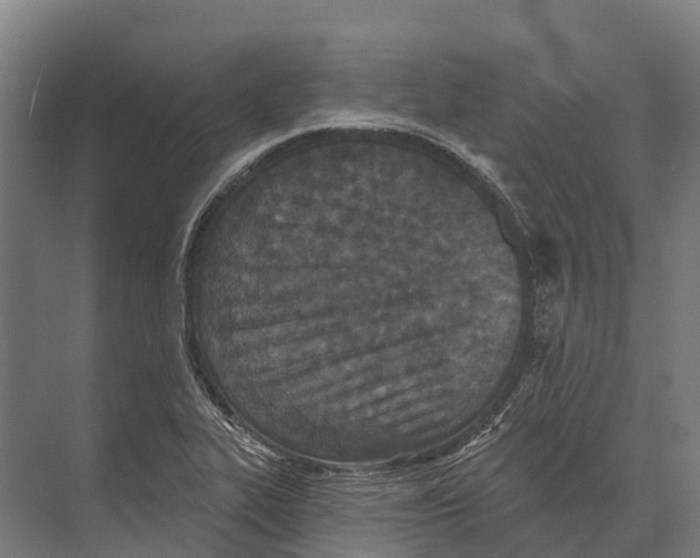 X0000071961319200608041609