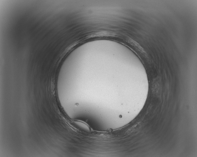 X0000071961321200608041609