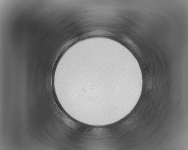 X0000071961322200608041609