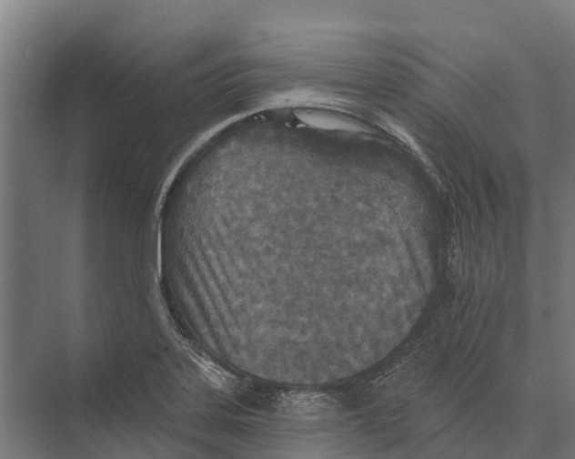 X0000071961323200608041609