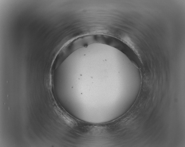 X0000071961324200608041609