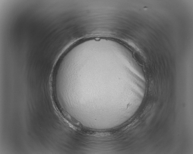 X0000071961325200608041609