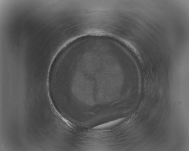 X0000071961327200608041609