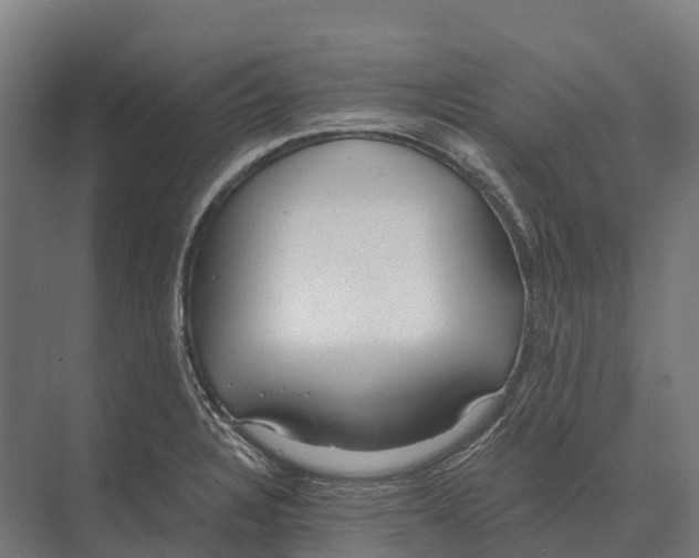 X0000071961328200608041609