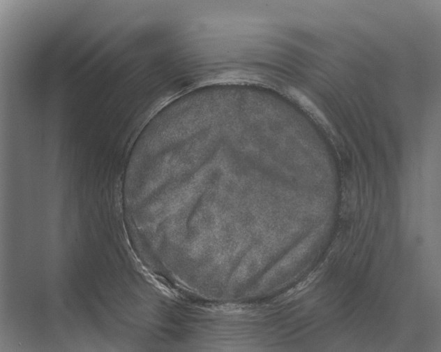 X0000071961329200608041609