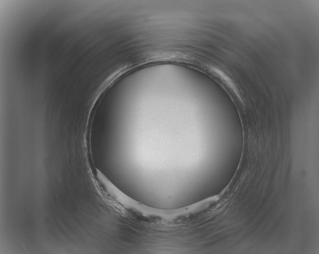 X0000071961330200608041609