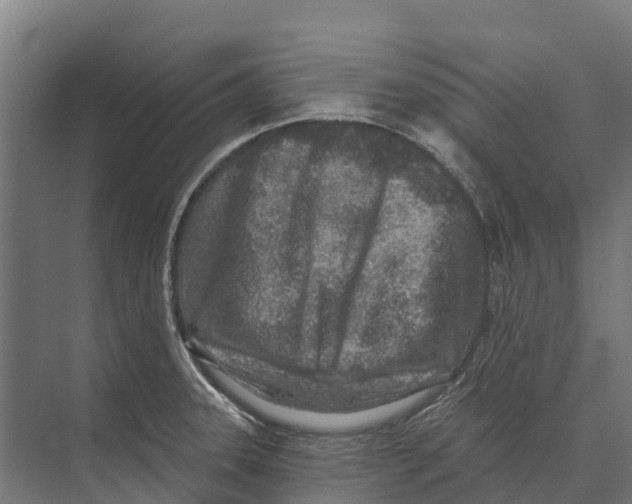 X0000071961331200608041609