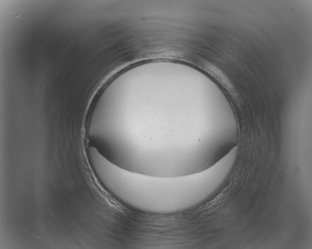 X0000071961332200608041609