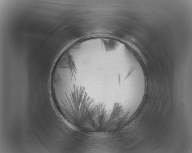 X0000071961333200608041609