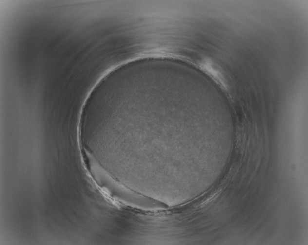 X0000071961334200608041609