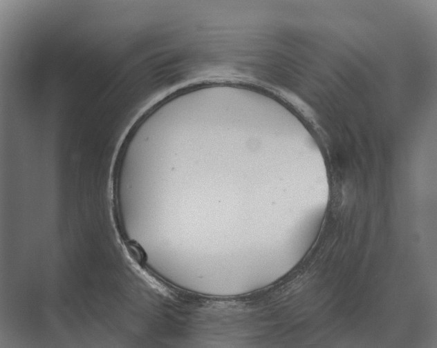 X0000071961335200608041609