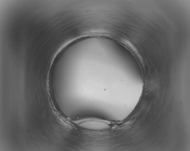 X0000071961336200608041609