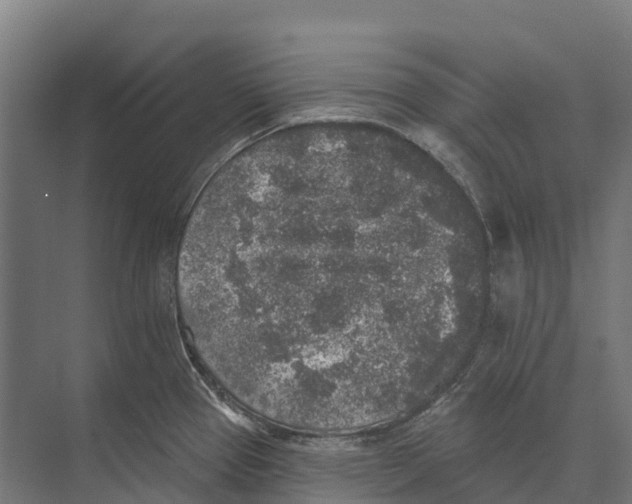 X0000071961337200608041609