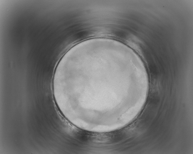 X0000071961338200608041609