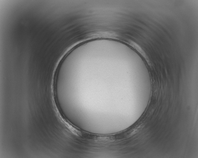 X0000071961339200608041609