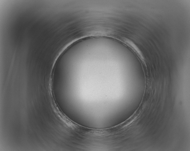 X0000071961340200608041609