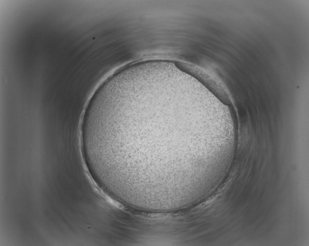 X0000071961341200608041609