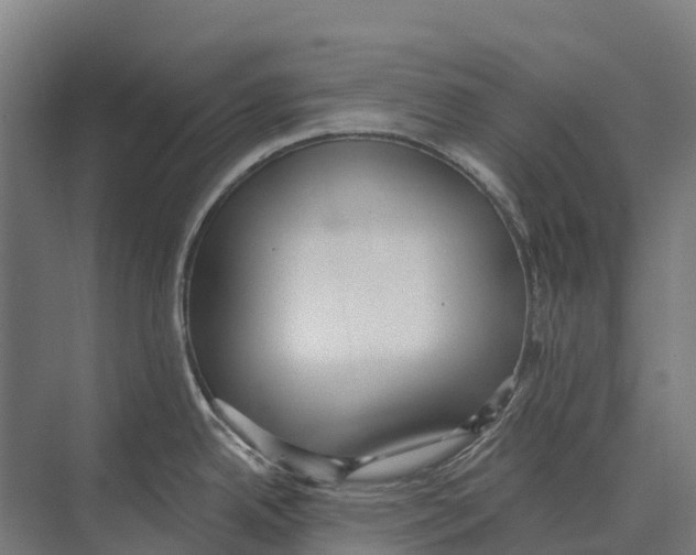 X0000071961342200608041609